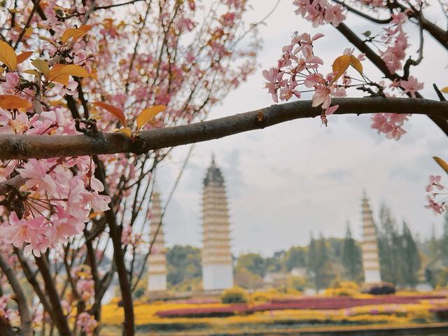 上海—昆明—大理—麗江—瀘沽湖