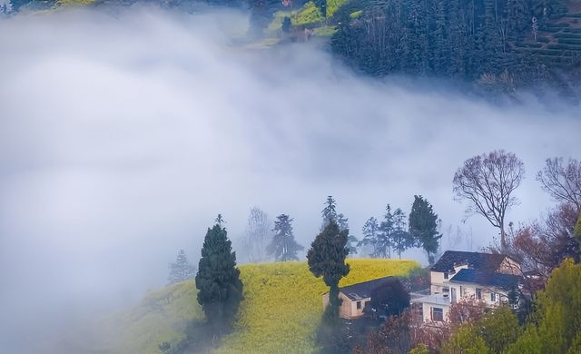 黃山石潭：油菜花海觀賞全攻略