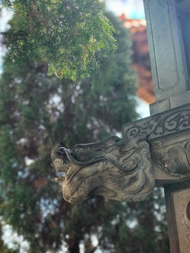 鬧市中的一片清幽-寶華寺