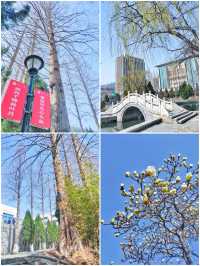 春遊魯東大學（煙台師範學院）