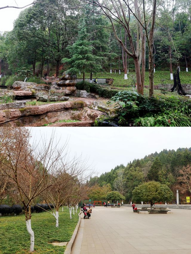 親近自然於德陽最大的郊野公園東湖山公園