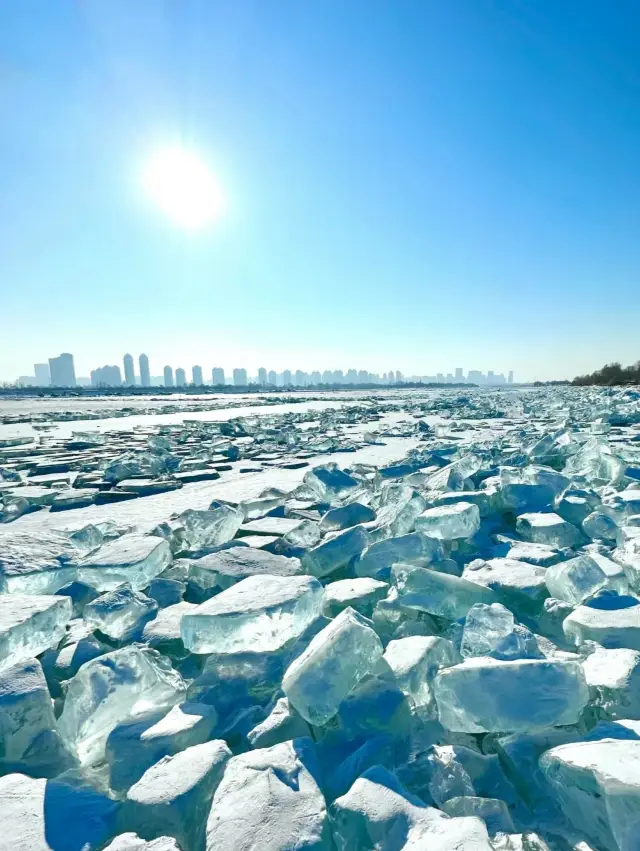 Harbin Diamond Sea | A Limited-Time Romance by the Songhua River