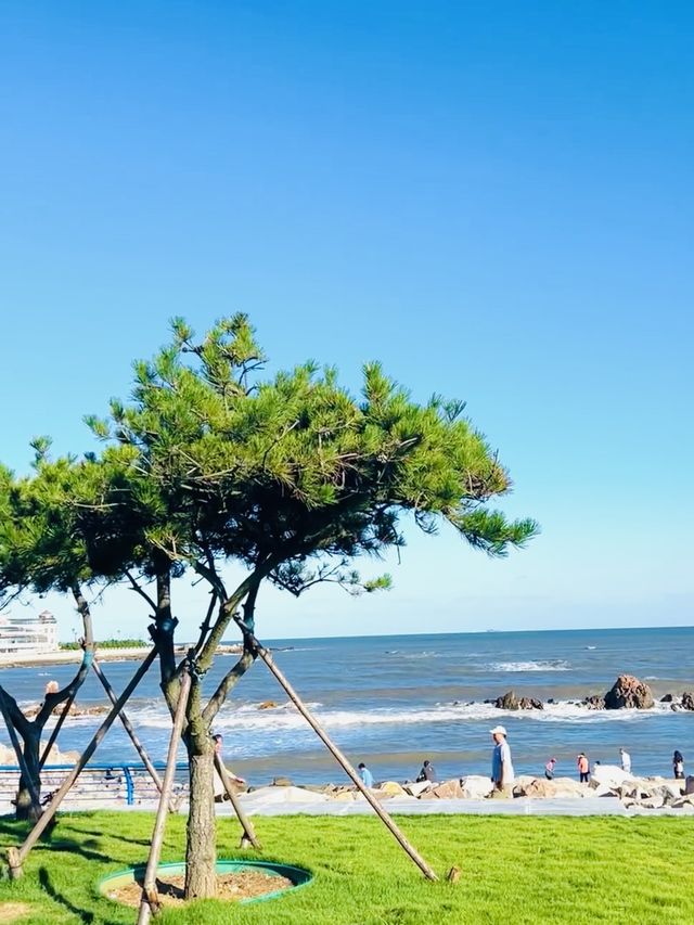 在青島！去了比小麥島更美的海之戀公園