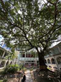 暑假帶娃看展去｜藏身九龍公園的香港文物探知館