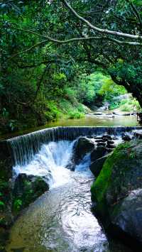 陽光正好 漫步山海間｜恩上水庫