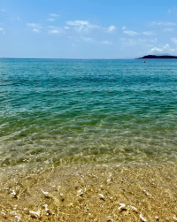 中信金沙灣 | 深圳海邊避暑度假勝地