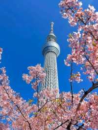 Stunning Exquisite Sky Tree Tokyo🇯🇵♥️😍