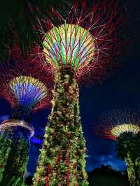 Attractive Marina Bay Garden Singapore🇸🇬♥️