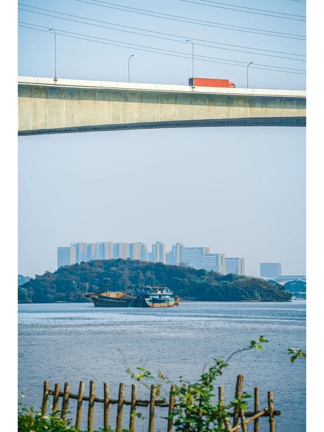 廣州春季露營·戶外野餐賞日落的免費公園推薦！