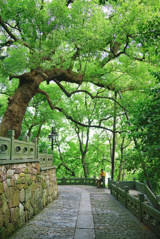 The Citywalk in Hangzhou is absolutely stunning‼️ One can see half the city in its mundane hustle and bustle, and the other half in its ethereal beauty~