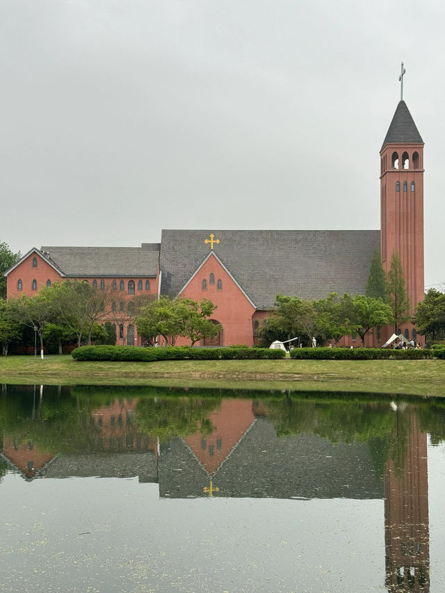 走進無錫貢湖灣濕地公園，感受原始森林之美