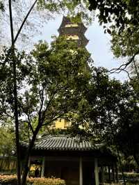 佛教禪宗名剎 阿育王寺 寧波
