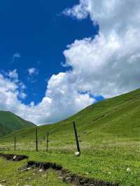 「今年還有什麼理由錯過川西治癒的夏天」