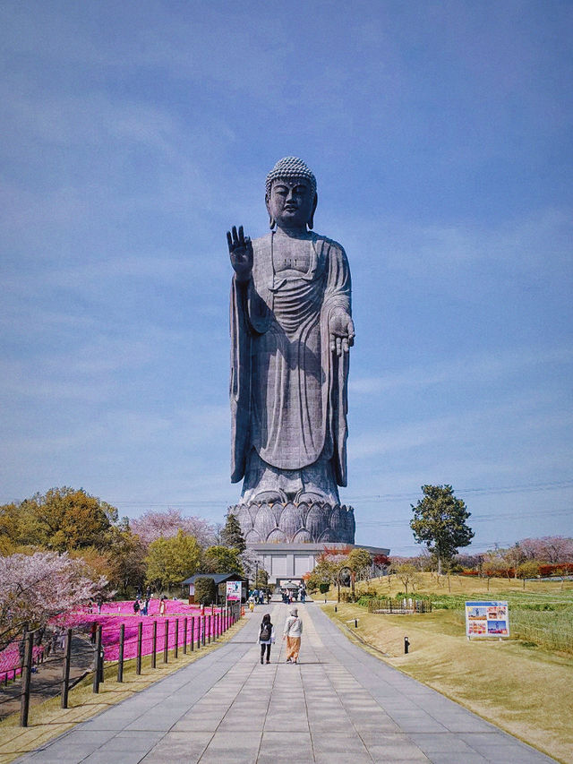 五一旅行隨性逛，東京周邊一日遊！