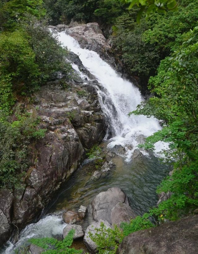 一路小溪瀑布，這是藏在惠州的森林秘境