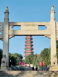 錦苑山公園