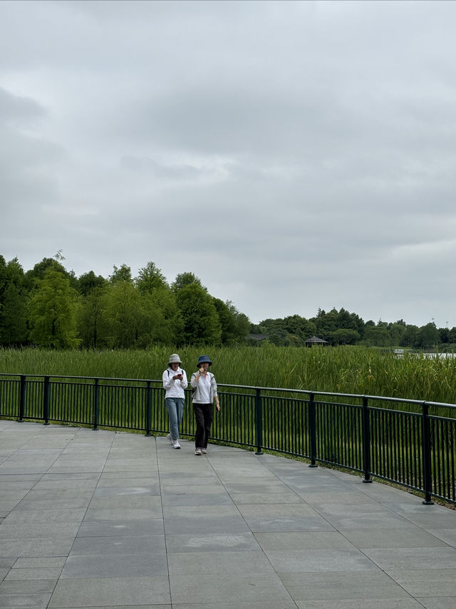 遊走上海：春日漫遊迪士尼星願公園