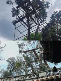 來巍寶山找祖師爺玩兒～ 巍寶山攻略