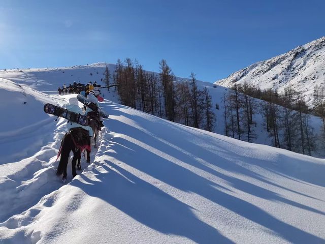 新疆阿勒泰3大滑雪場對比出行必看