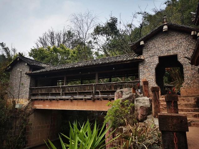 普洱那柯里 普洱那柯里