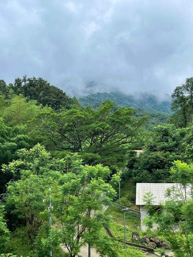 在河源！會反覆去的萬綠湖景民宿