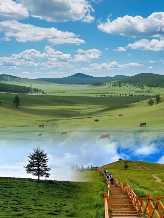 Bashang Grassland, a two-day and one-night journey of stunning beauty