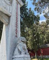 南陽臥龍崗必打卡！常態化演藝攻略，全是乾貨！