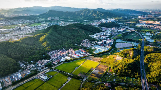 快來中山開啟“美麗鄉村遊”，體驗“美景美食美心情”