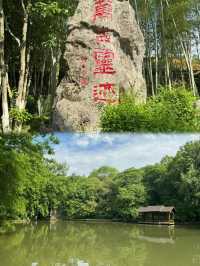 宜興善卷洞一日遊：穿越光影的奇幻之旅