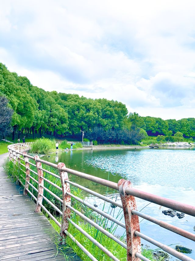 走進美蘭湖，讓時光靜止