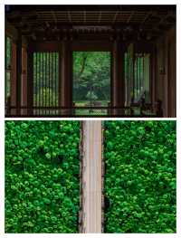 被低估的寶藏紹興 是時候該發光了