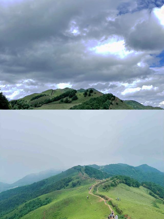 離昆明2h!只屬於雲南人自己的阿勒泰