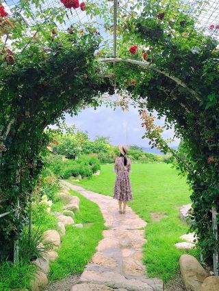 露營打卡|濟南人有自己的莫奈花園”