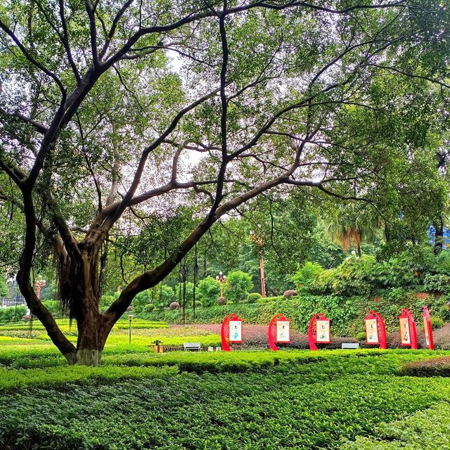 尋訪-韶城《叁拾玖》雨中漫步“西橋公園”