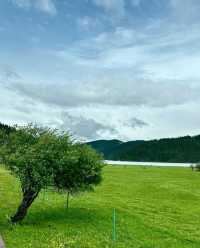 香格里拉-普達措國家公園-神仙住的地方