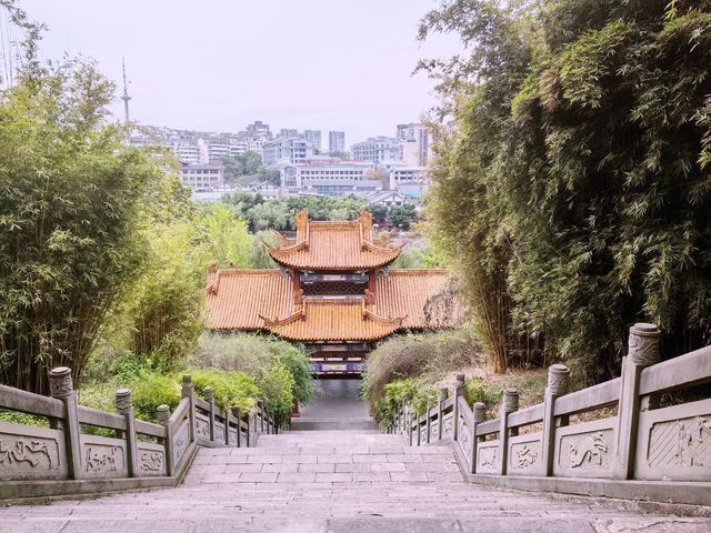 一起看綿陽世界級風景｜免費景點，富樂山