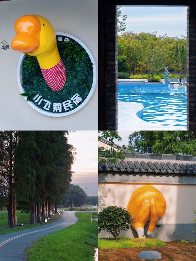 南京周邊，我蕞喜歡的遛娃度假地出現了