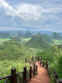 羅平金雞峰叢