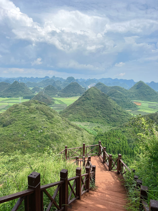 羅平金雞峰叢