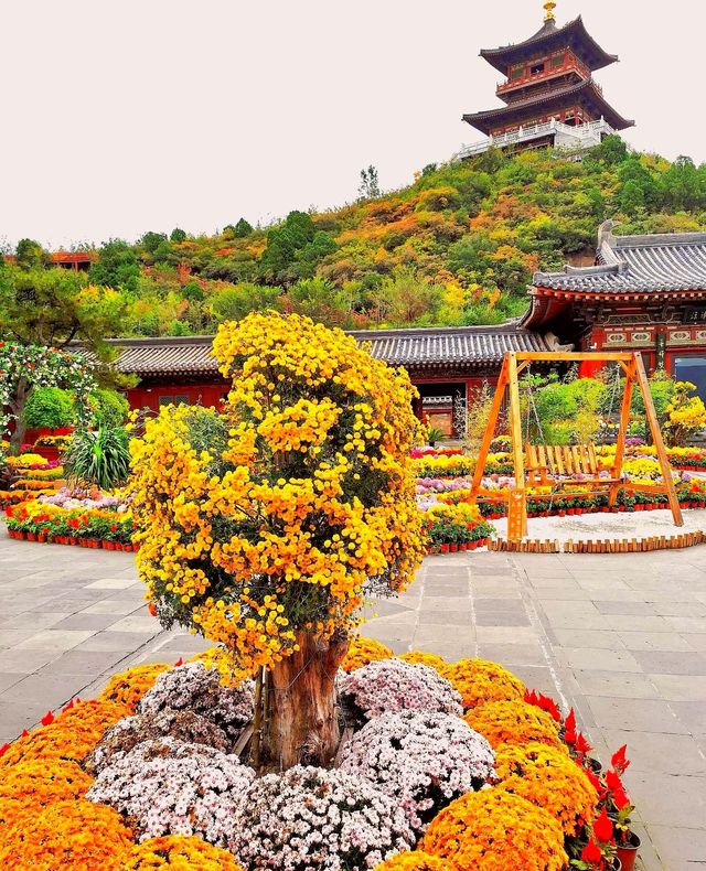 霜葉紅於二月花