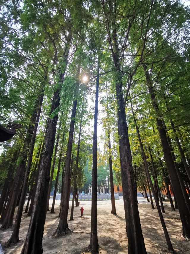 報恩禪寺