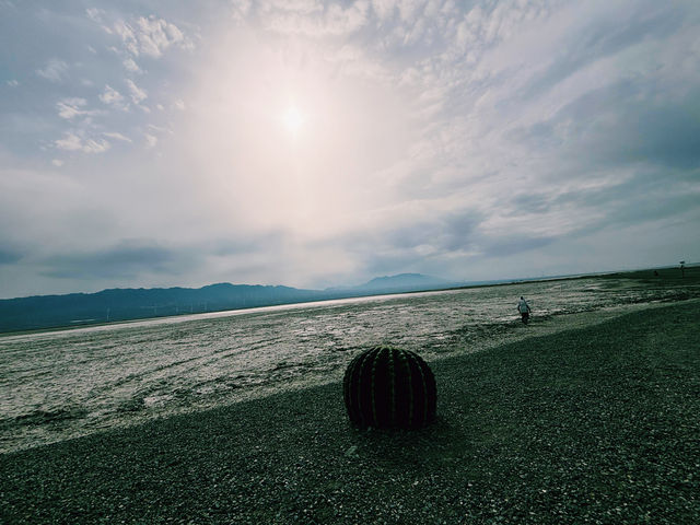 烏魯木齊｜鹽湖之畔，邂逅夢幻西域奇景。