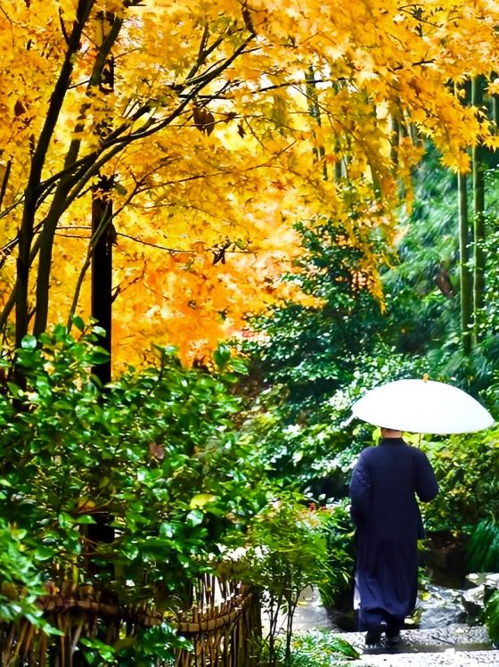 法雲安縵：隱藏於古村的奢華體驗。