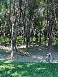 2024.9.15｜絕對不要在下午進入南苑森林濕地公園！