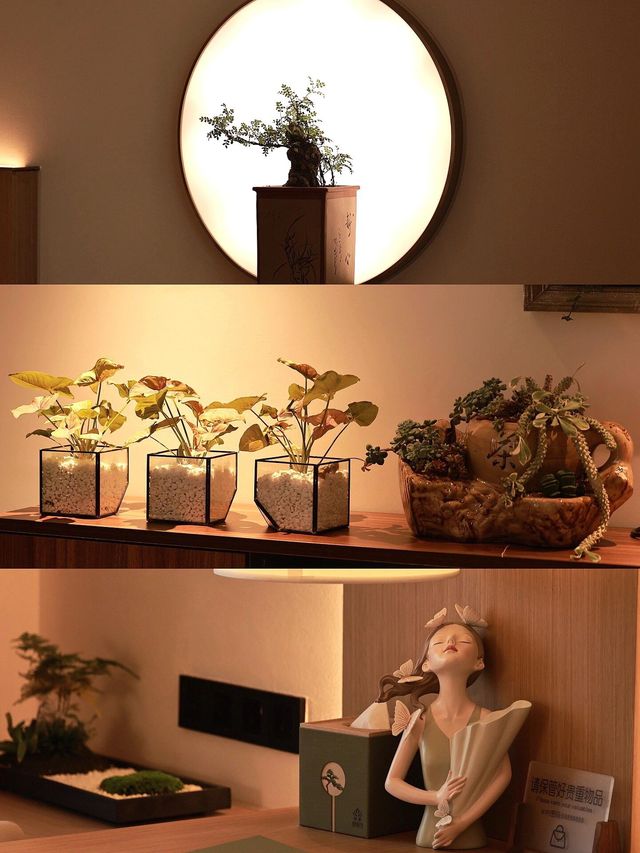 這家新開嘅親子酒店將會係合肥遛娃嘅天花板。