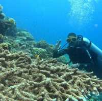 Under the sea at Doljo Beach