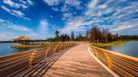 東莞企石東清湖濕地公園——秋天的約會。