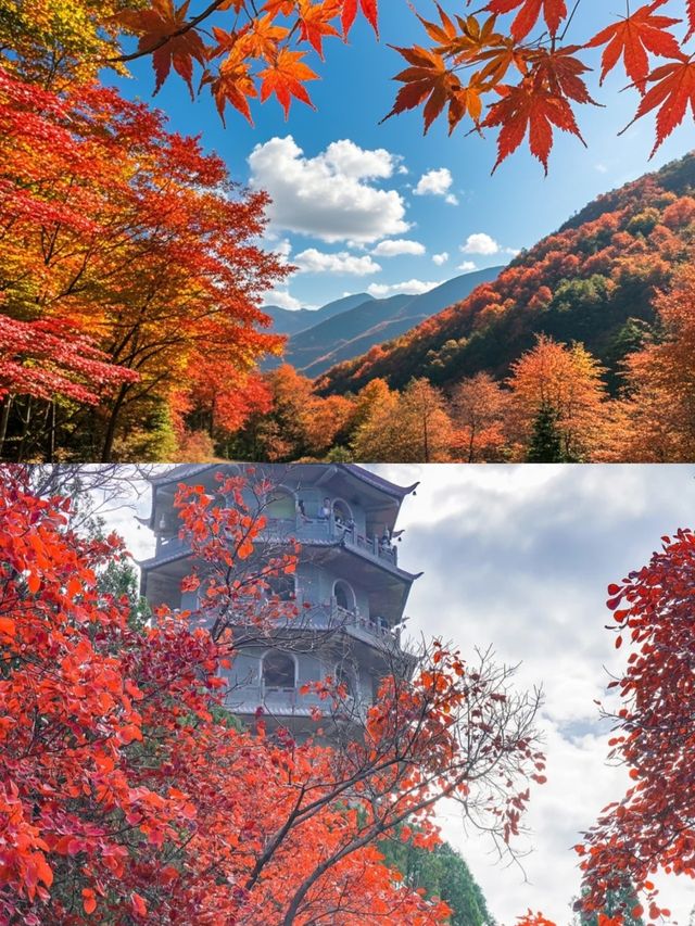 濟南紅葉谷！如詩如畫，秋意盎然的童話世界！。