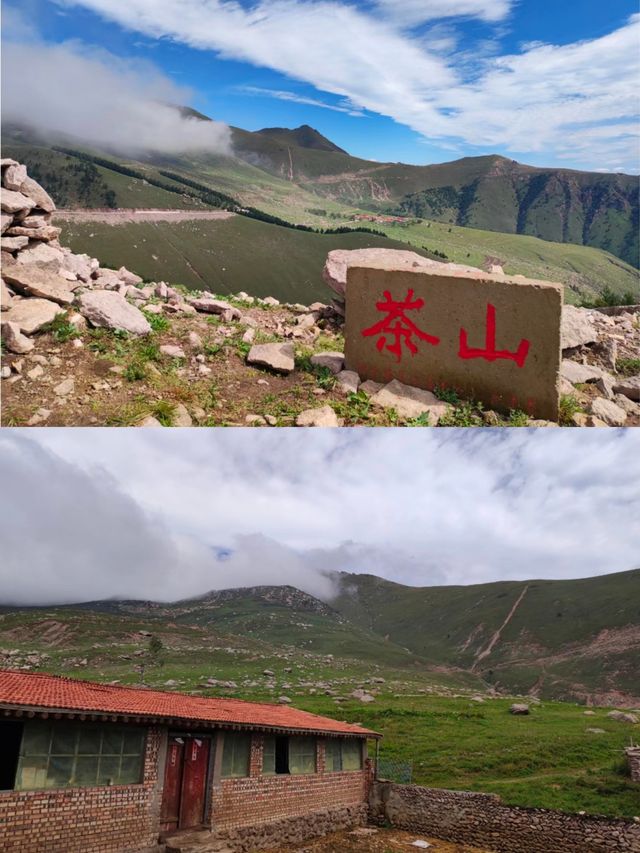 張家口蔚縣茶山。