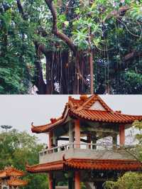 鳳凰山：神秘吸引力解密，你不知道的美麗景色。